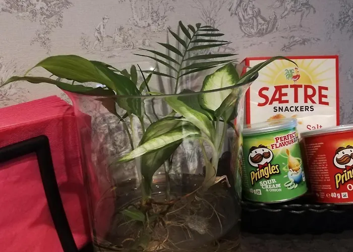 The Little * Sola